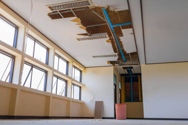 Best Basement water damage restoration  in Inniswold, LA