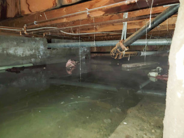 Best Water damage restoration near me  in Inniswold, LA