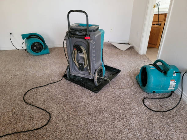  Inniswold, LA Water damage restoration Pros