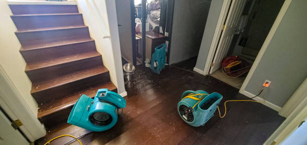 Best Water damage cleanup near me  in Inniswold, LA