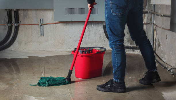 Best Fire Damage Restoration  in Inniswold, LA