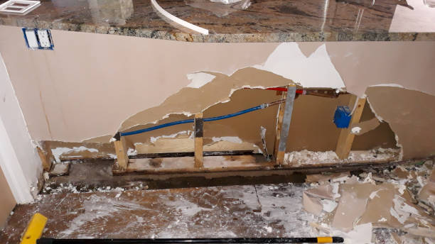 Best Flooded house restoration  in Inniswold, LA
