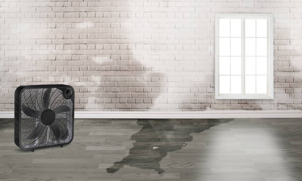 Best Residential water damage restoration  in Inniswold, LA