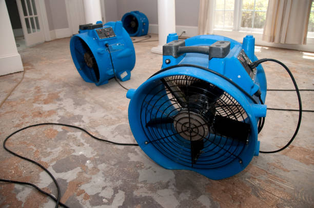 Best Professional water damage repair  in Inniswold, LA