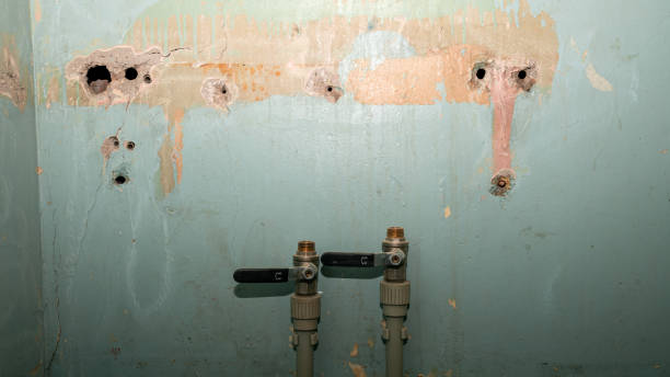 , LA Water damage restoration Company