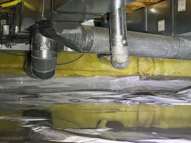 Best Ceiling water damage repair  in Inniswold, LA