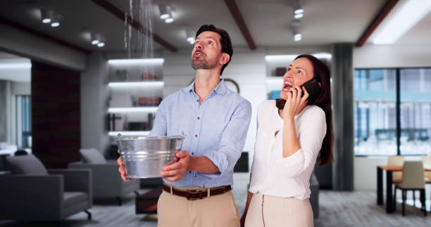 Best Professional water damage repair  in Inniswold, LA